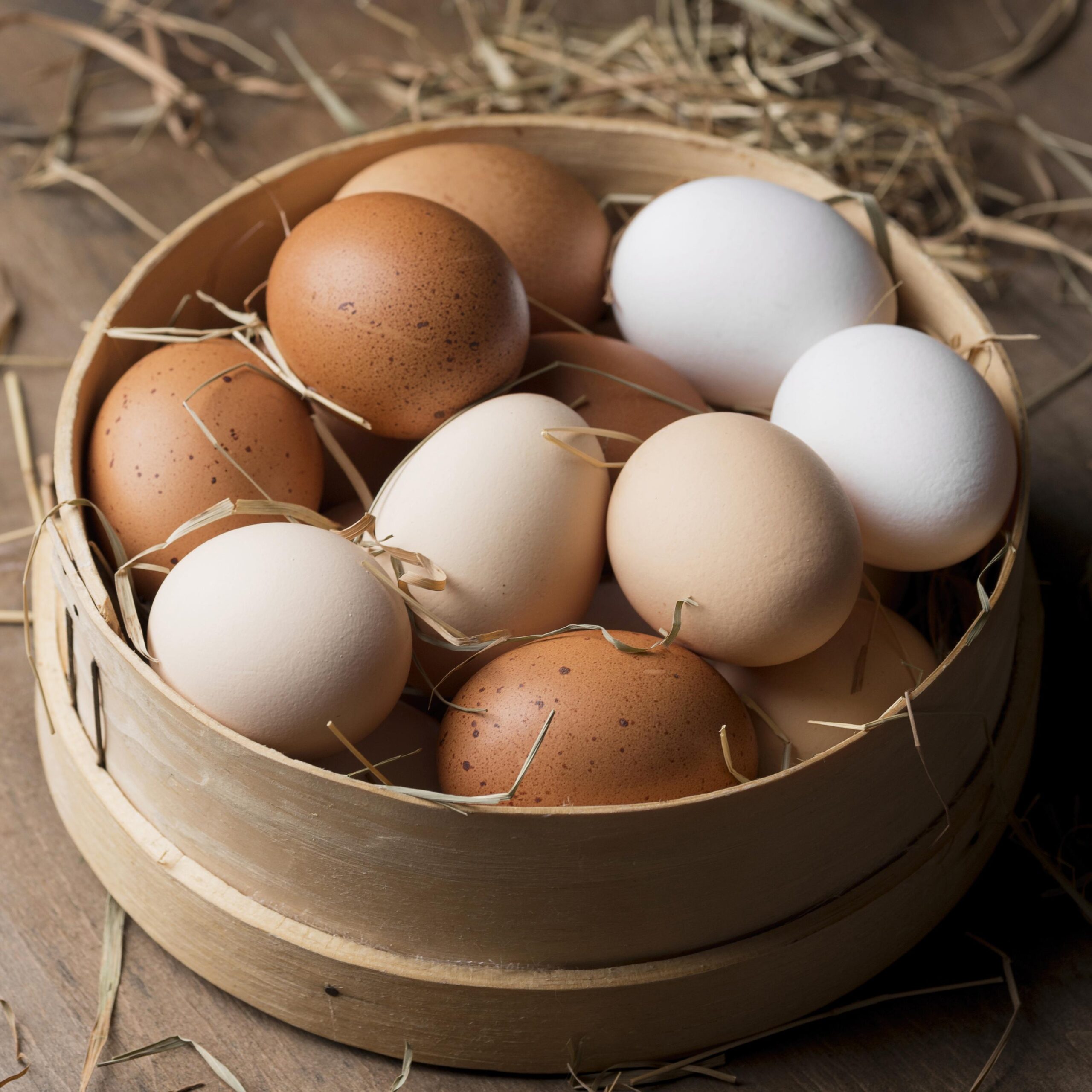 fresh-chicken-eggs
